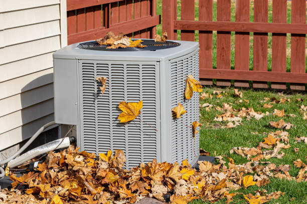 Best Central Air Repair  in Buhl, MN