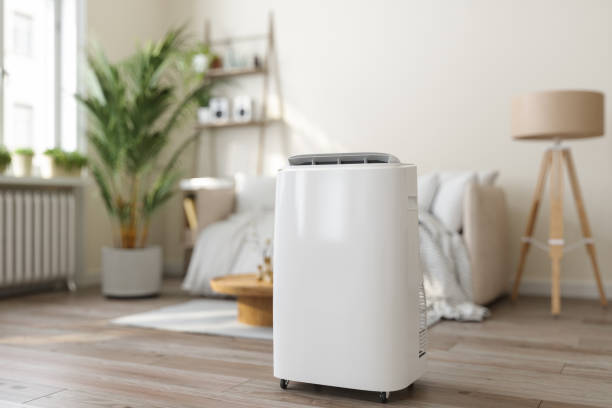 Best HVAC Emergency Services  in Buhl, MN
